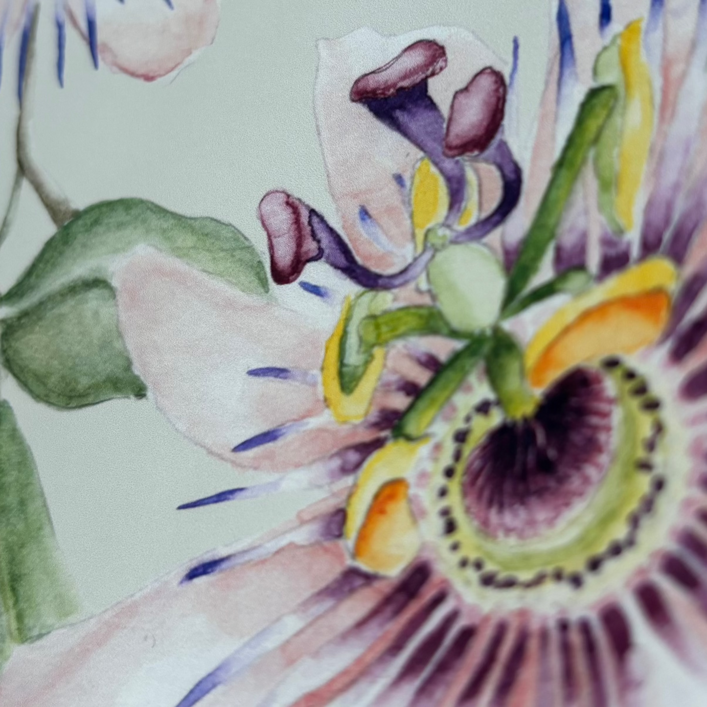 'Passiflora' Art Print