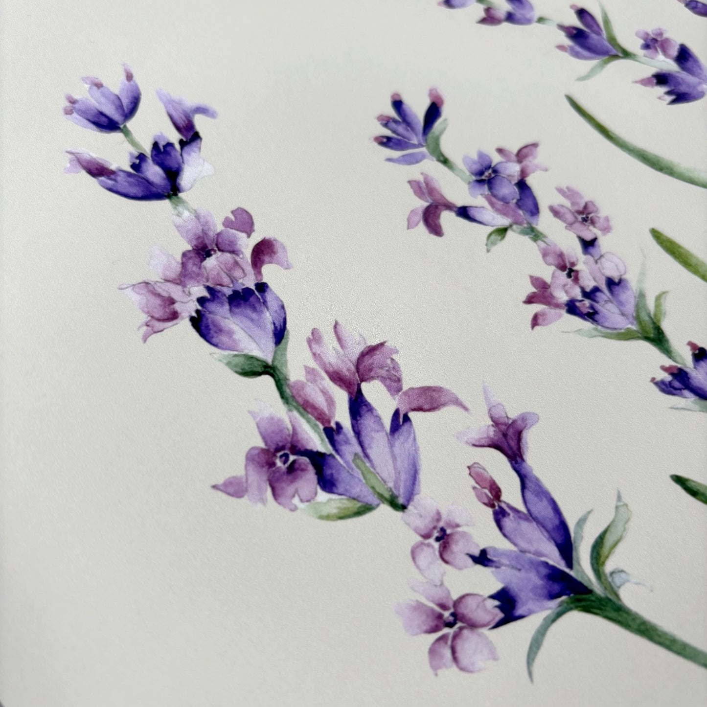 'Lavandula' Art Print