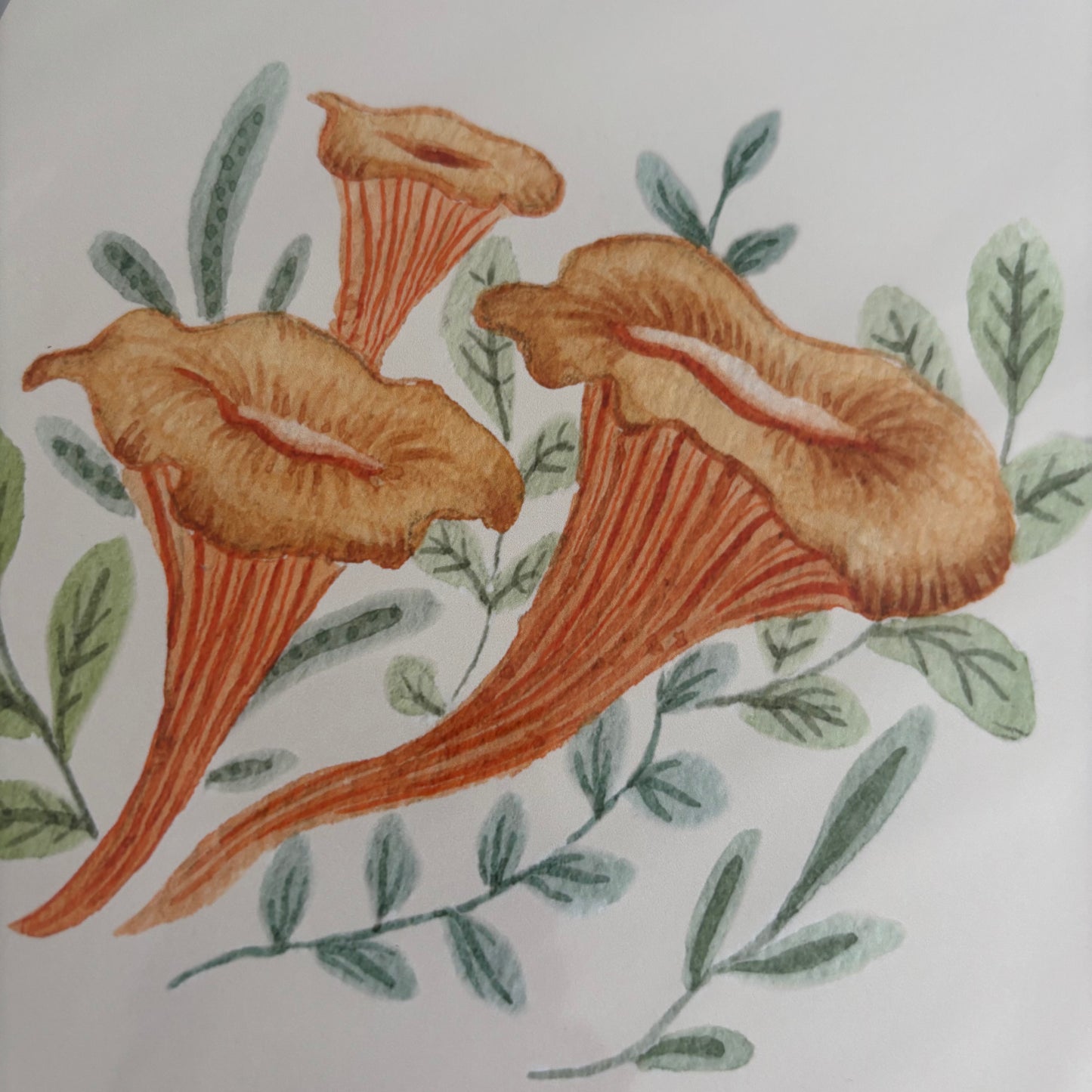 'Chanterelle' A5 Art Print