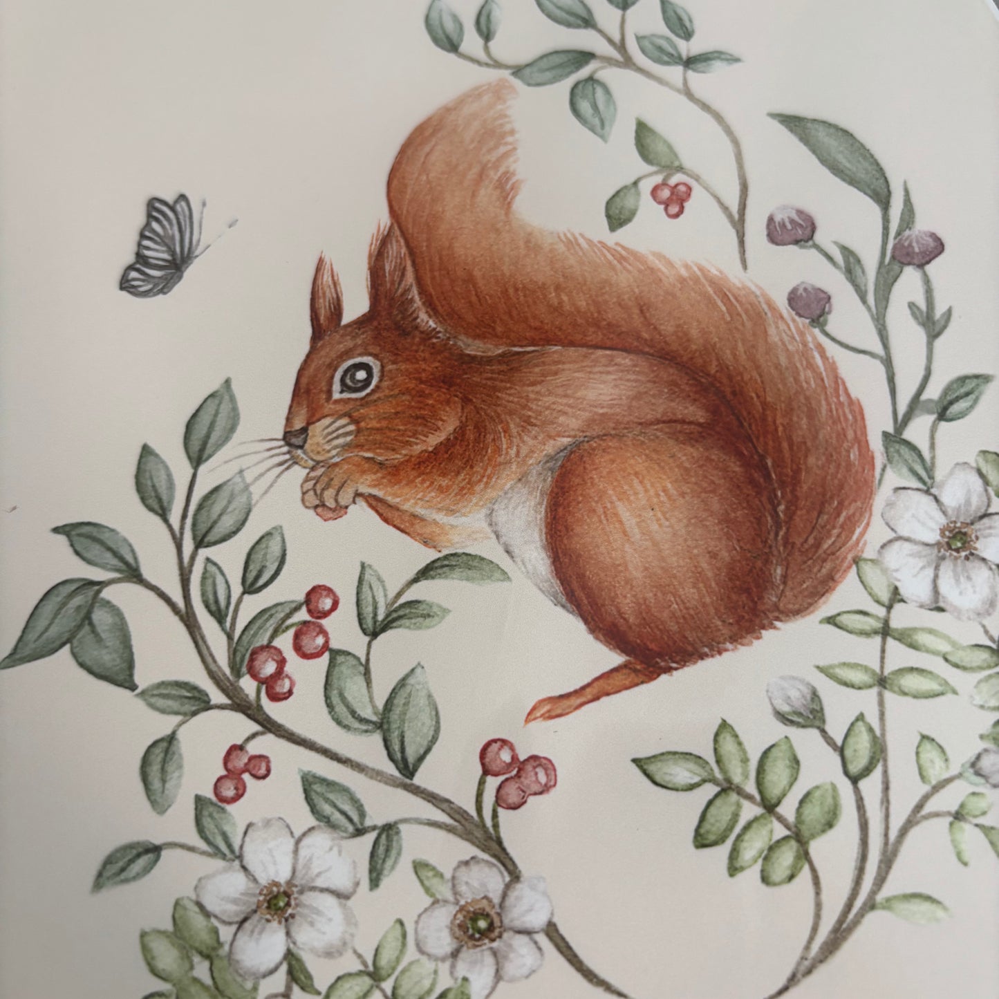 'Red Squirrel' A5 Art Print
