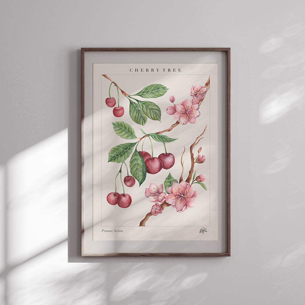 'Prunus Avium' Art Print