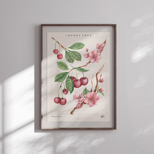 'Prunus Avium' Art Print