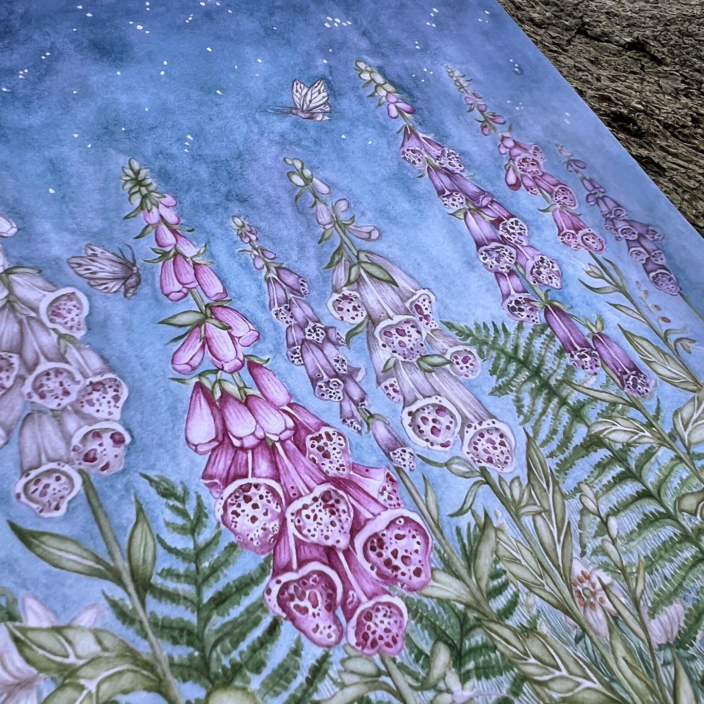 'Foxglove Fable' Art Print