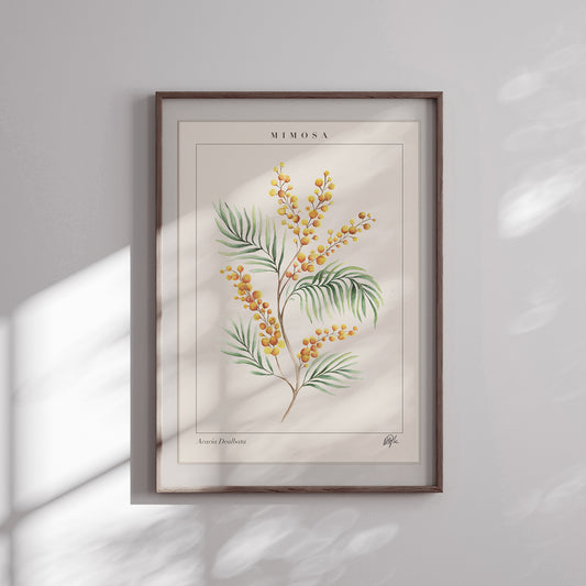 'Acacia' Art Print