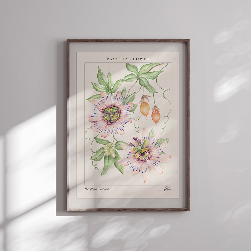 'Passiflora' Art Print