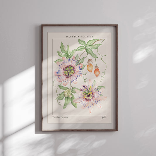 'Passiflora' Art Print