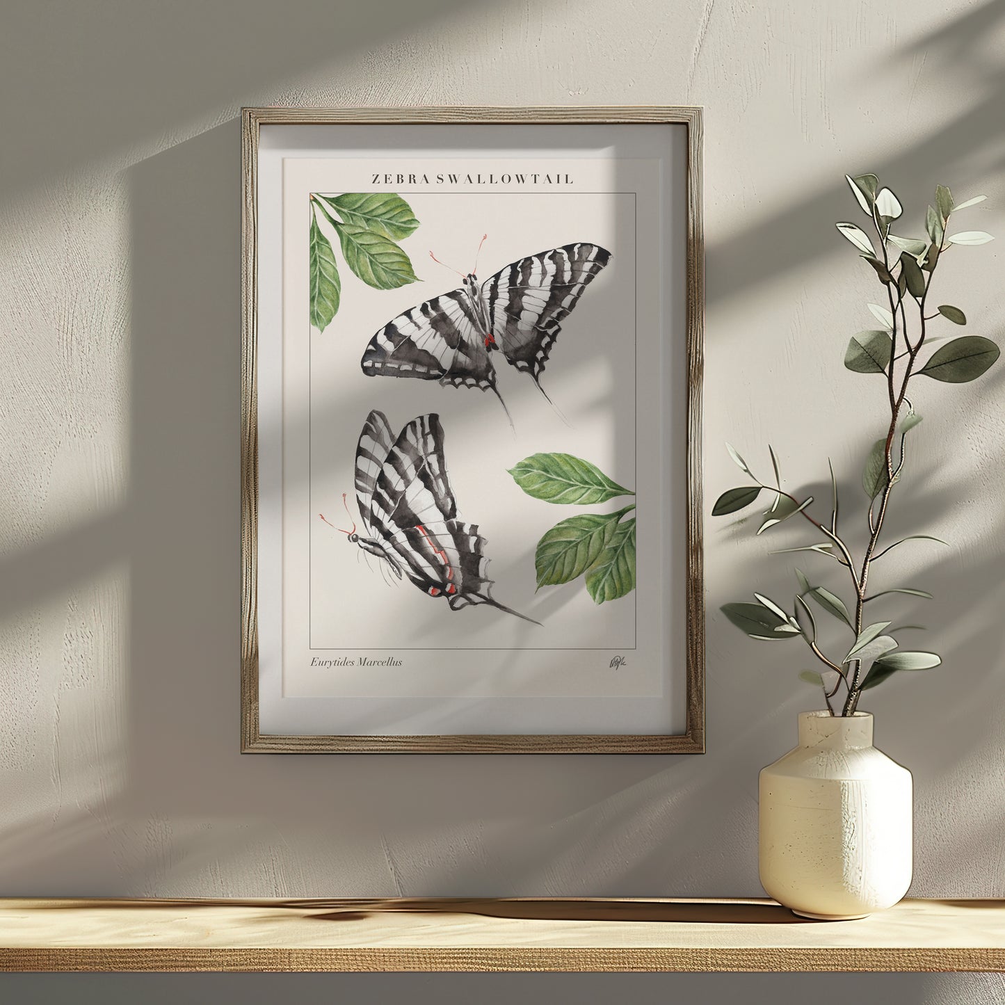'Swallowtail' Art Print