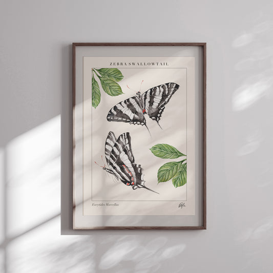 'Swallowtail' Art Print